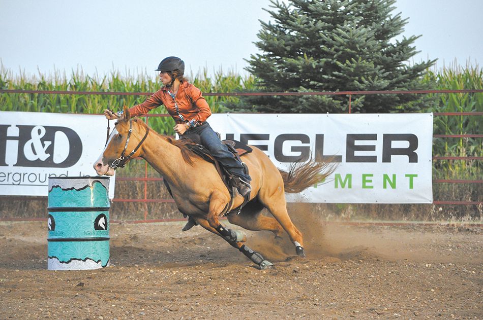 Web fmn lead horse feature 0436