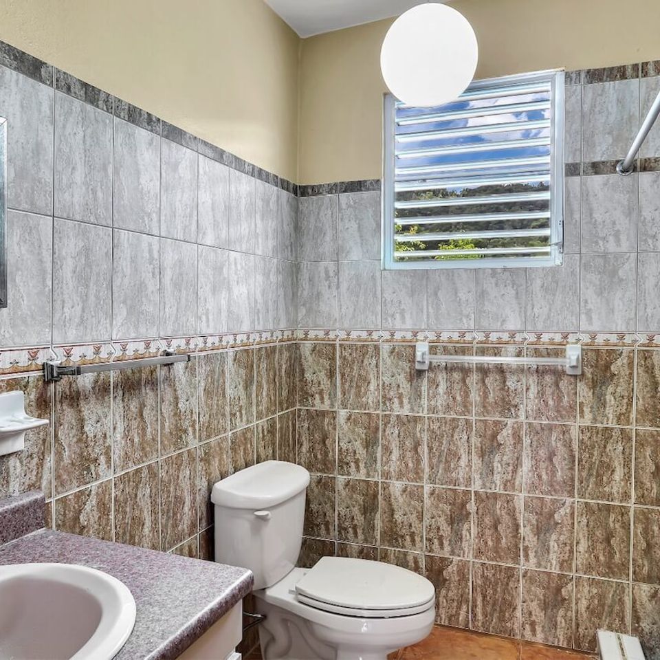 Finca maricao muniz and muniz realty rincon pr (10)