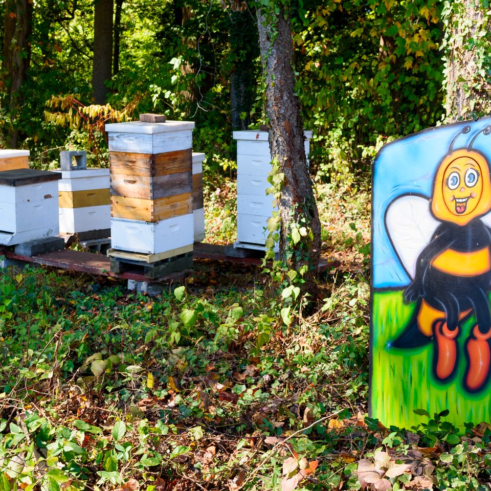 064 moskowphoto©2024