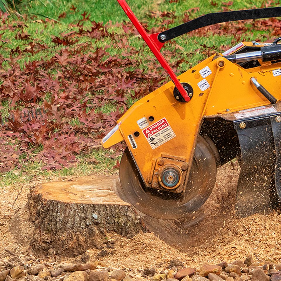 tree stump grinding roseville