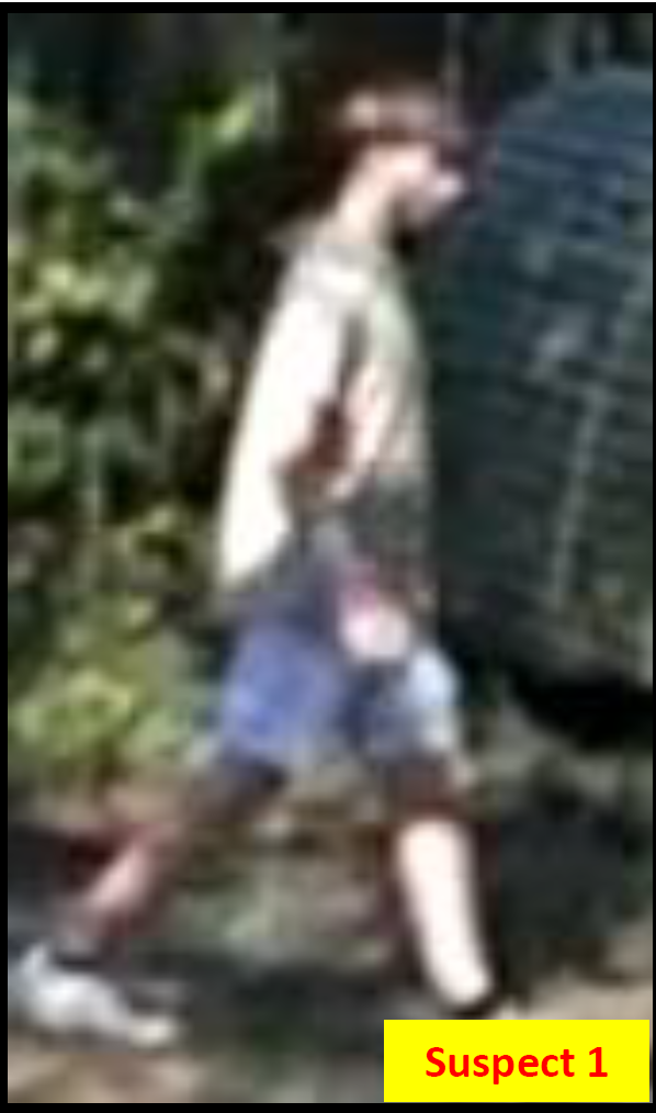 Suspect 1
