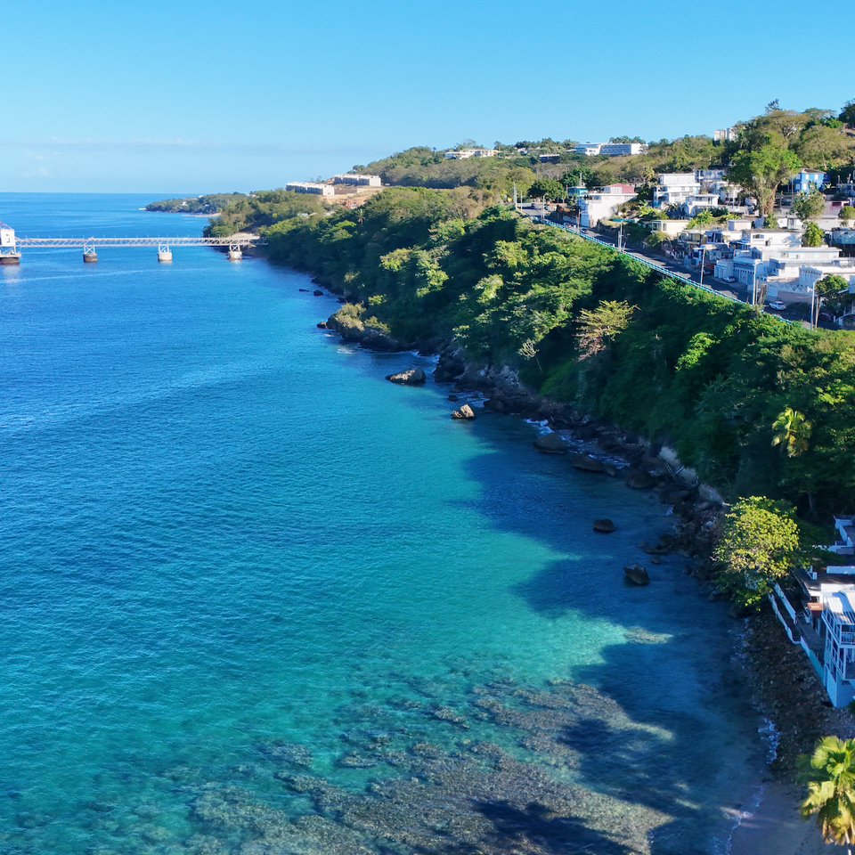 Screenshot 2026 02 24 at 3.35.43 pm