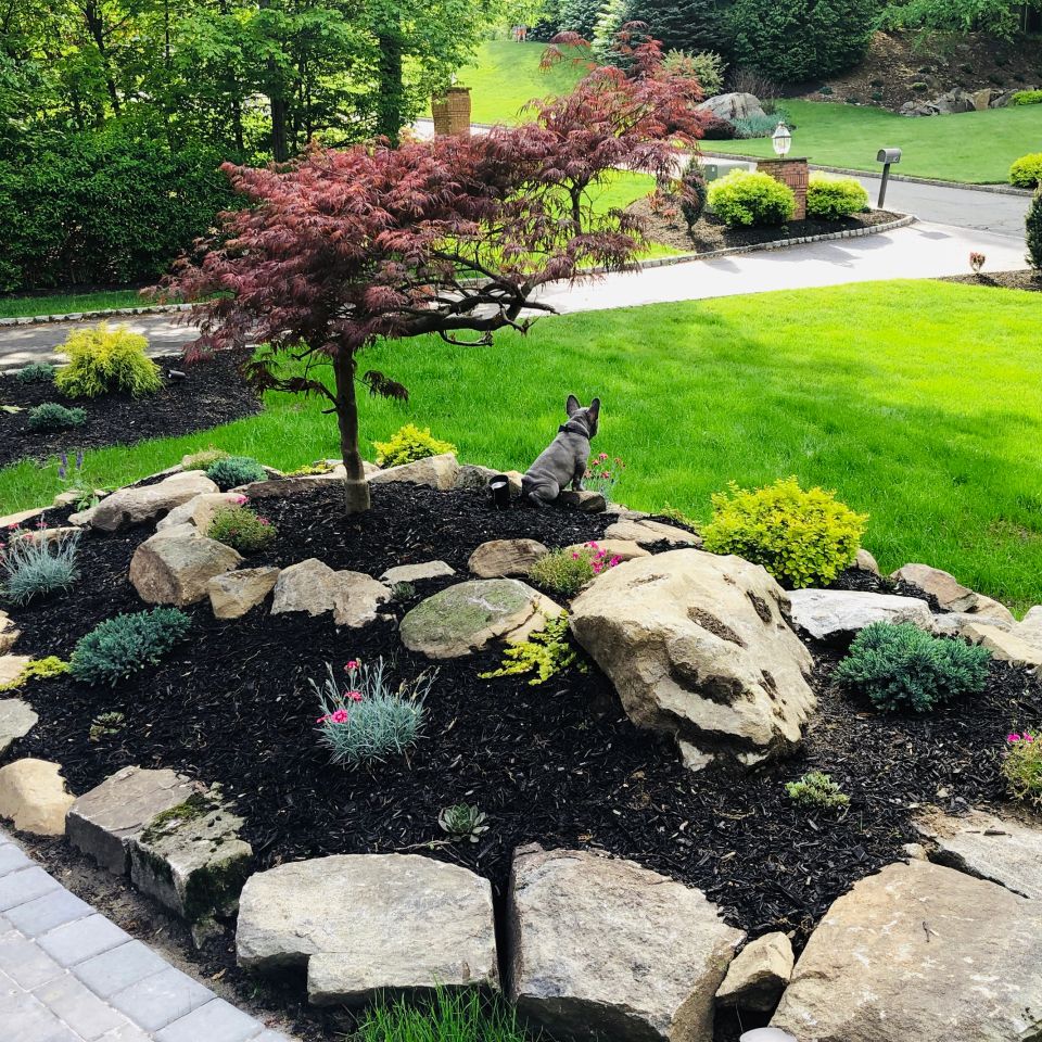 Spring landscaping ideas yard