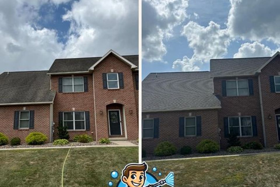 Roof wash