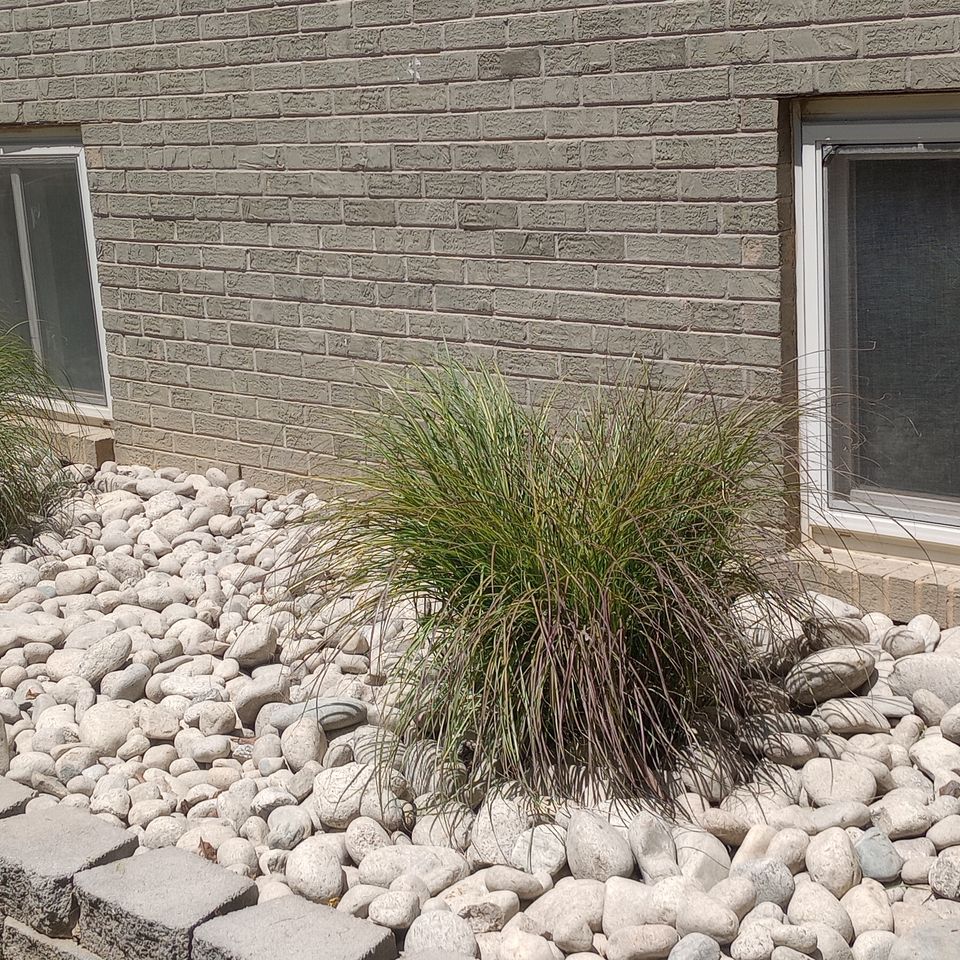 Landsacape installation. (rock   shrubs)