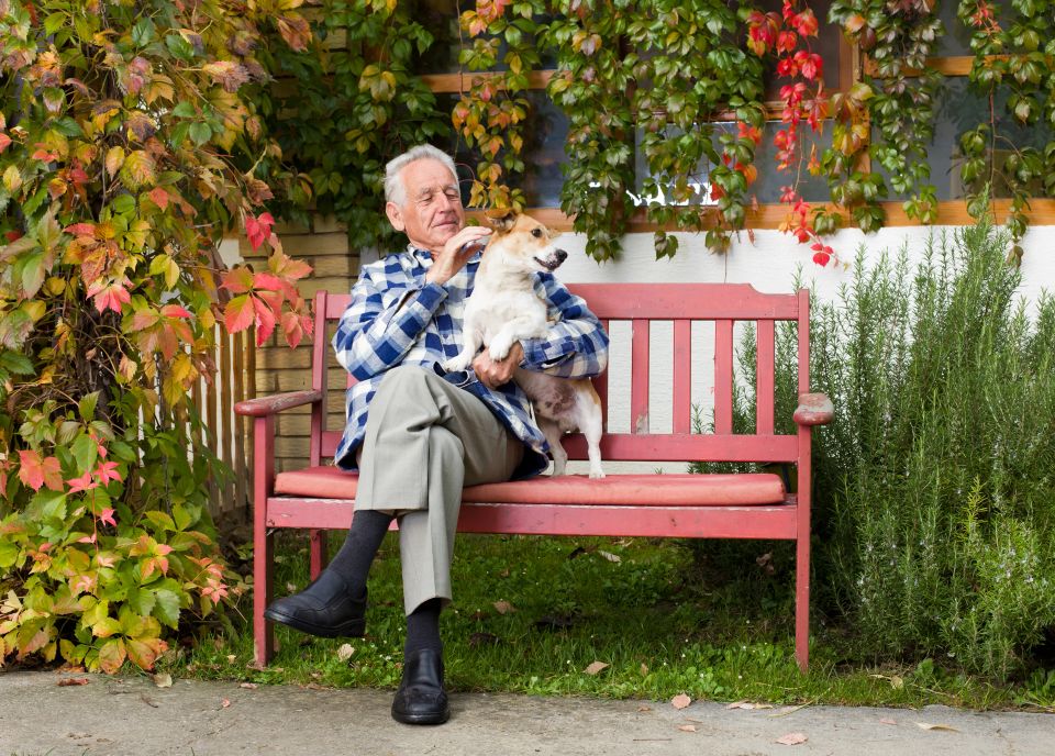 Senior man holding his dog on garden bench enjoying companion care on Long Island NY