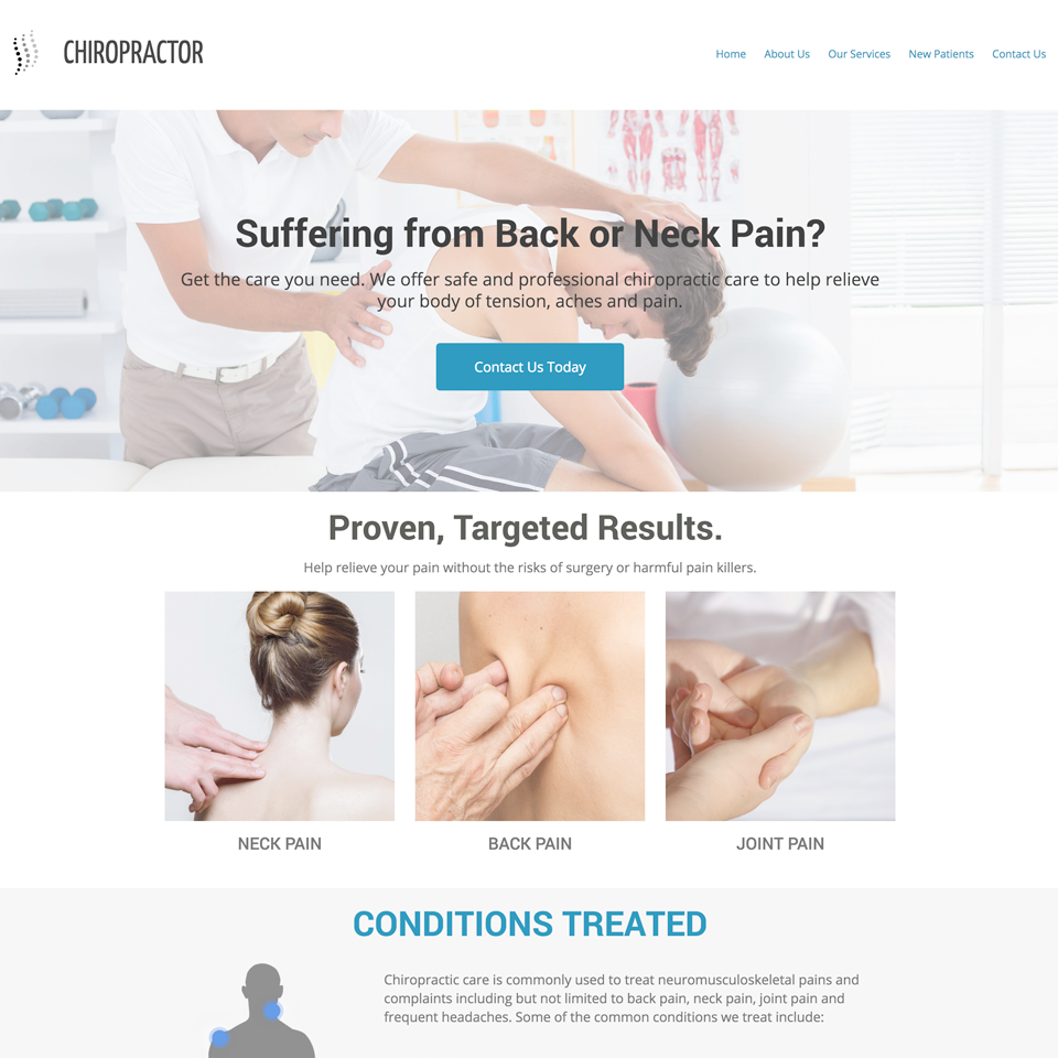 Chiropractor website theme