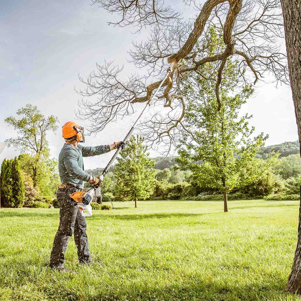 Tree trimming from ground