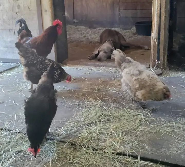 Fb img 1695231065342