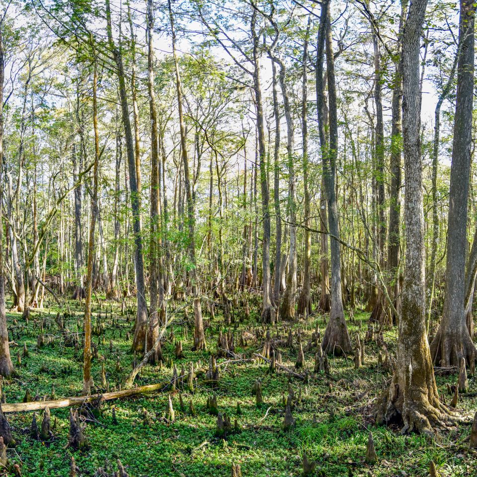  dsc0671 pano