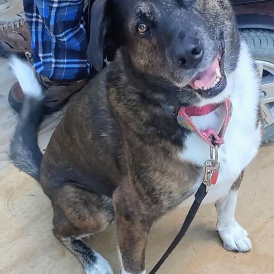 Gus