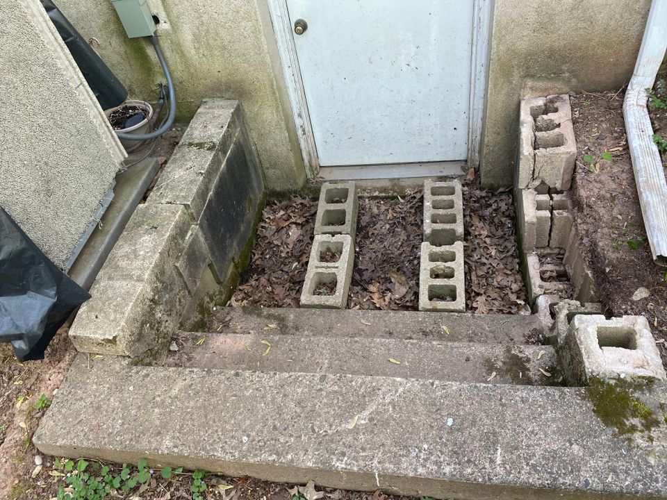 Img 3644