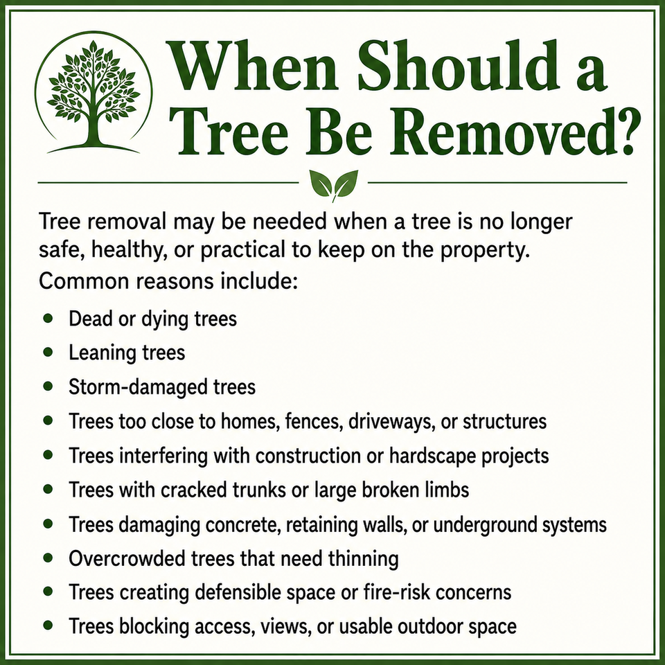 when should a tree br removed in El Dorado county
