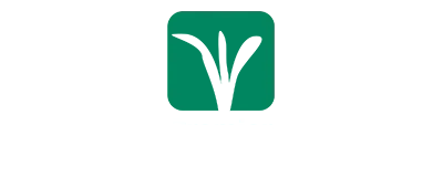 Premierdealer original original