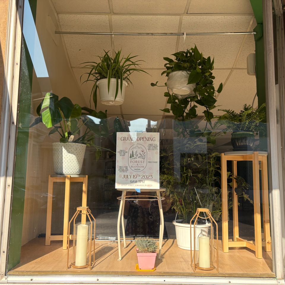 Plants front window forest and blossom