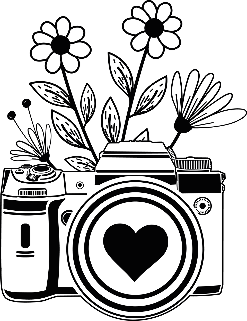 Profession   photographer camera 4 10