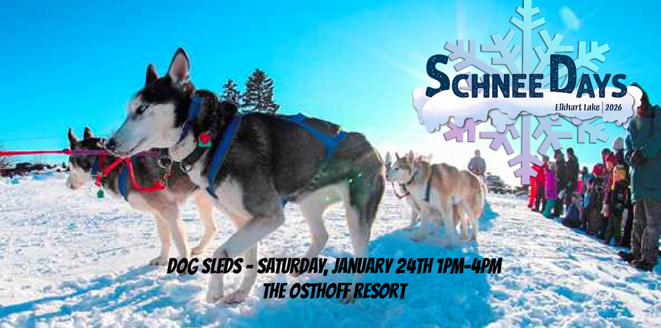 Dog sleds2 26 (1)