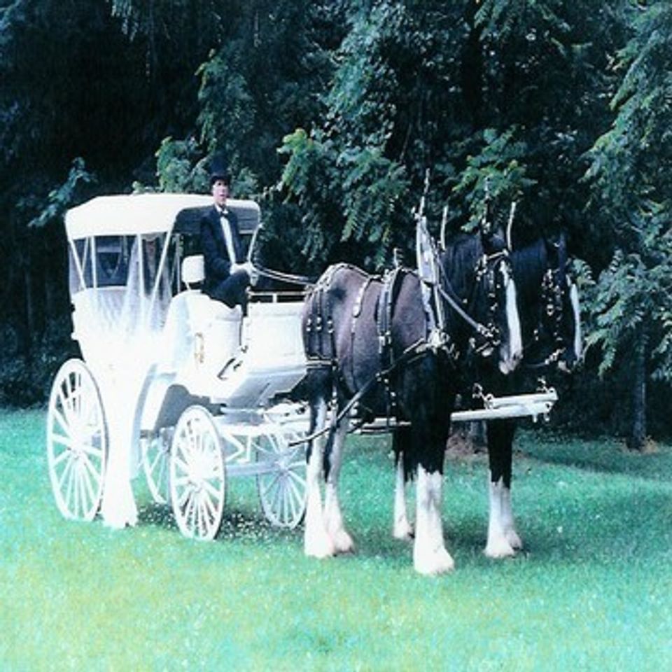 Carriage