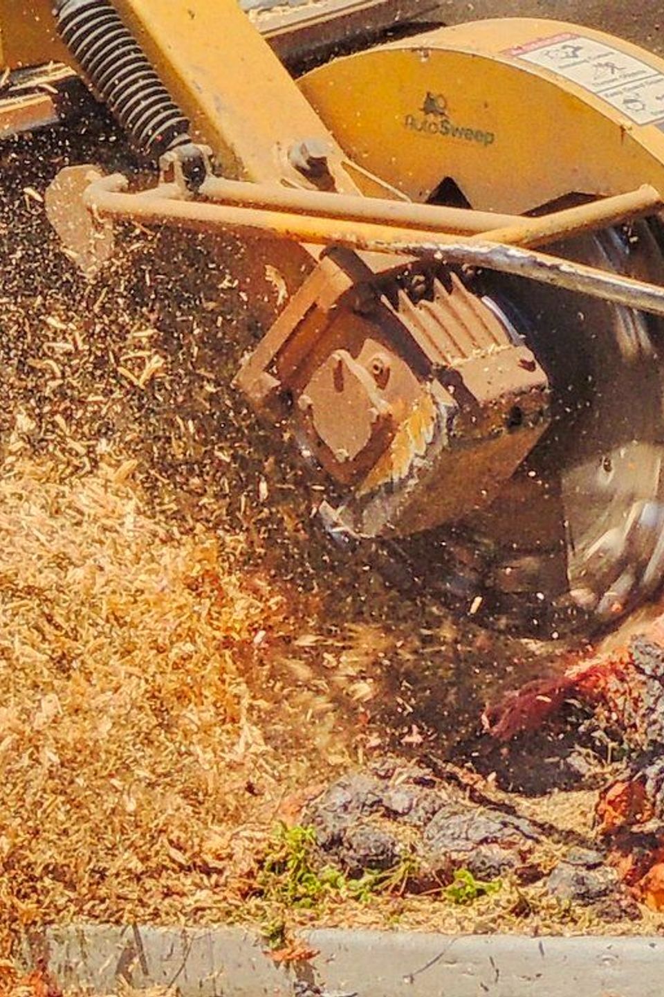 cheap tree stump removal