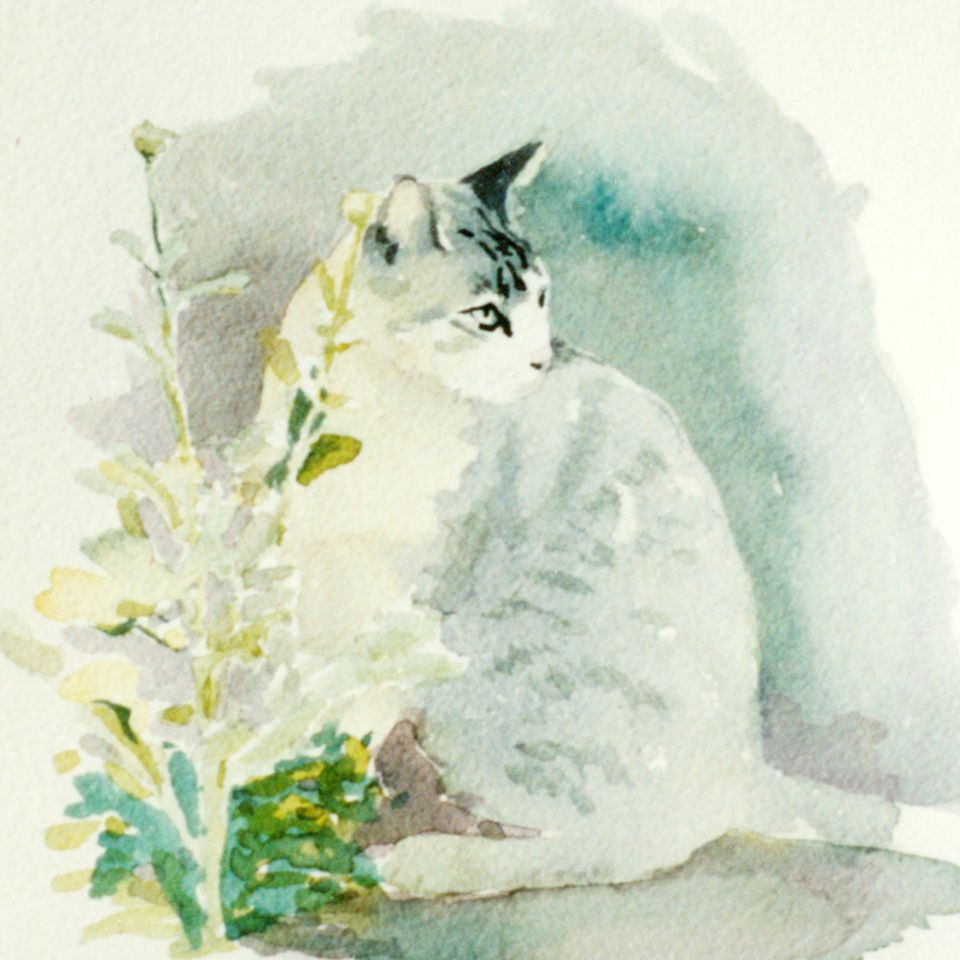 Whistful lg