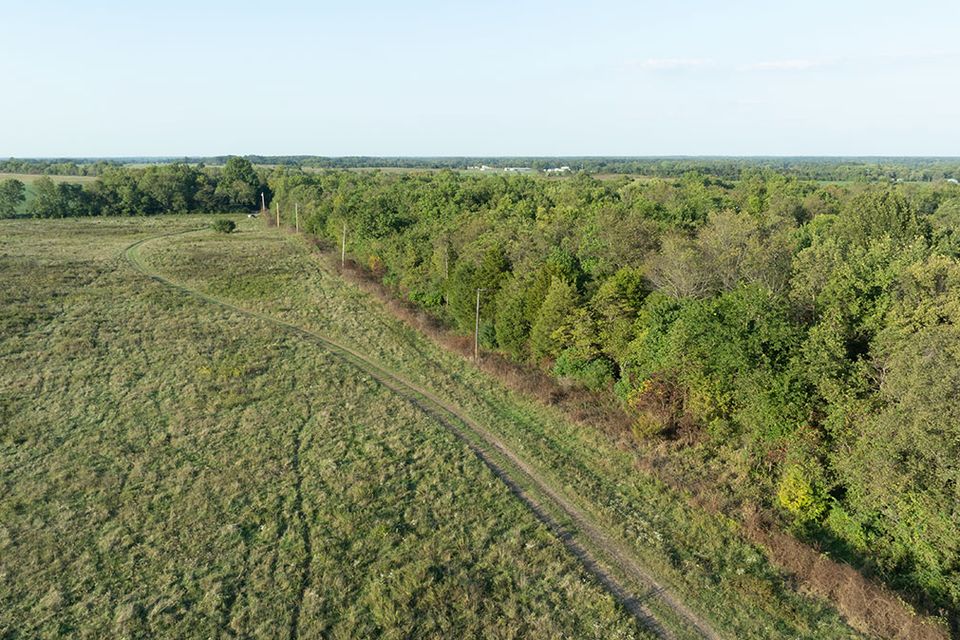 38 acres wentworth missouri 5