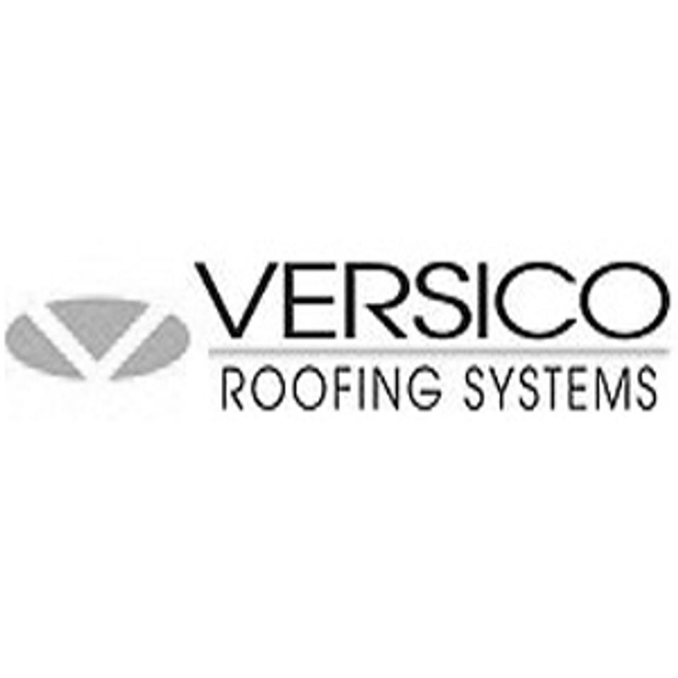 Versicologo1