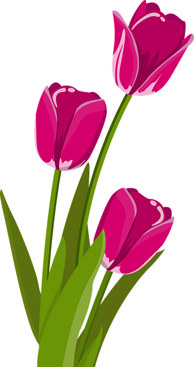Florist Theme