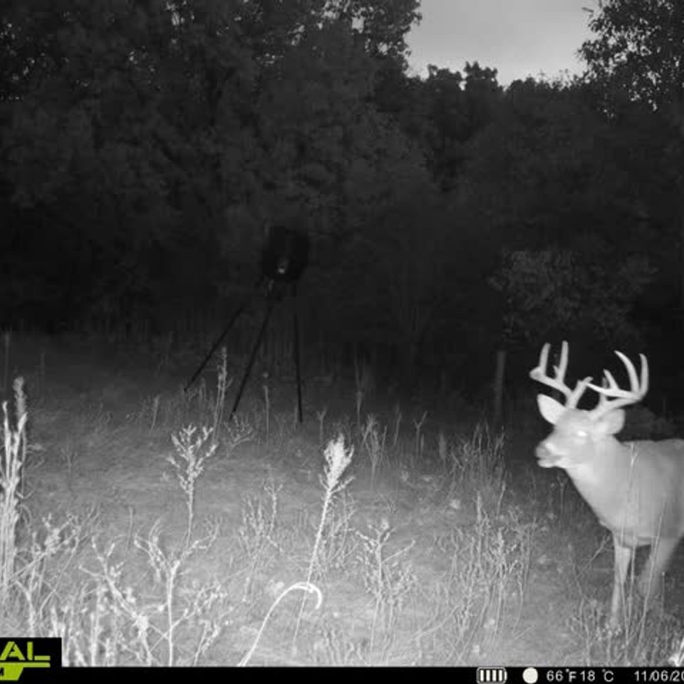 860322065134030 100 4 11062025174632 w1000715