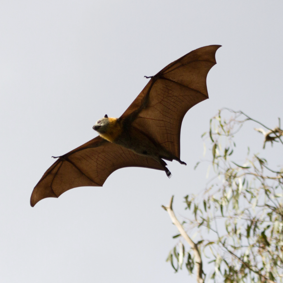 Screen shot 2026 03 03 at 2.11.36 pm