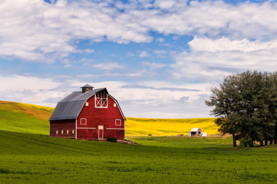 Adobestock 219313796