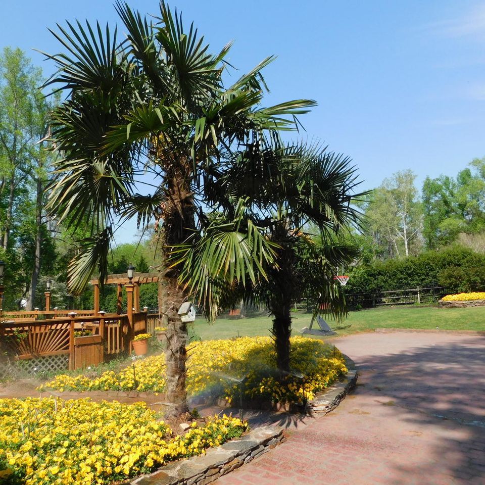 Ilmc company landscaping20170413 007420170414 24897 1dxcd9z