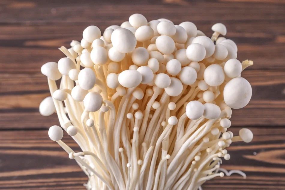 Enoki mushrooms as427203619 950x633