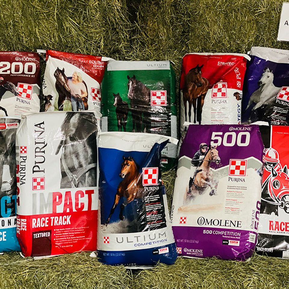 S t   purina   above purina logo