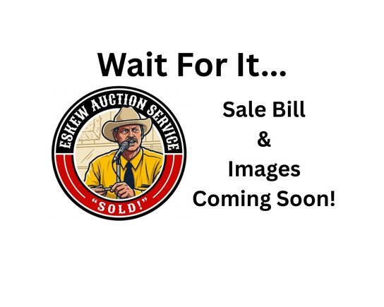 Eskew auction service sale bill and images coming soon placeholder imperial ne