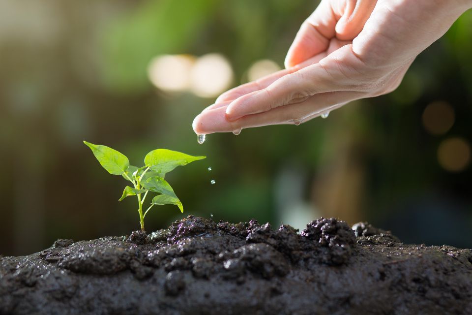Soil g602fd5f8b 1920