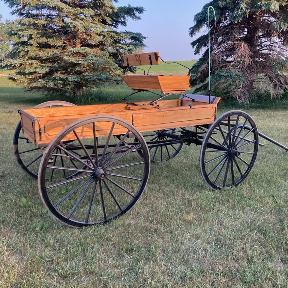 Web buggy