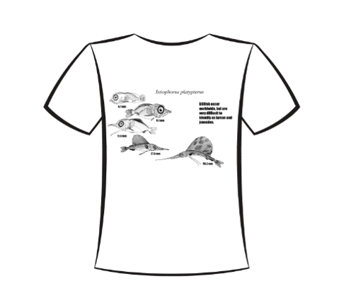 Screenshot 2025 10 27 090608