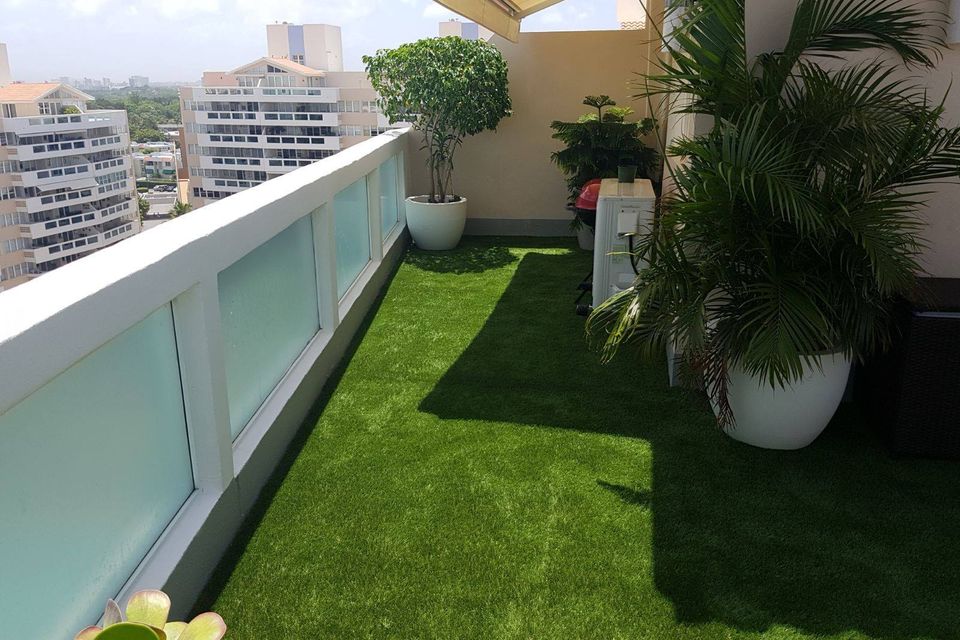 Grama para terrazas en Puerto Rico
