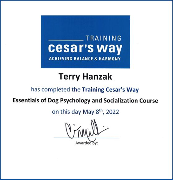 Cesars way training certificate