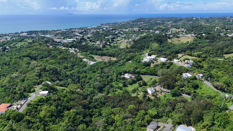 Dji 20251017133350 0886 d 2