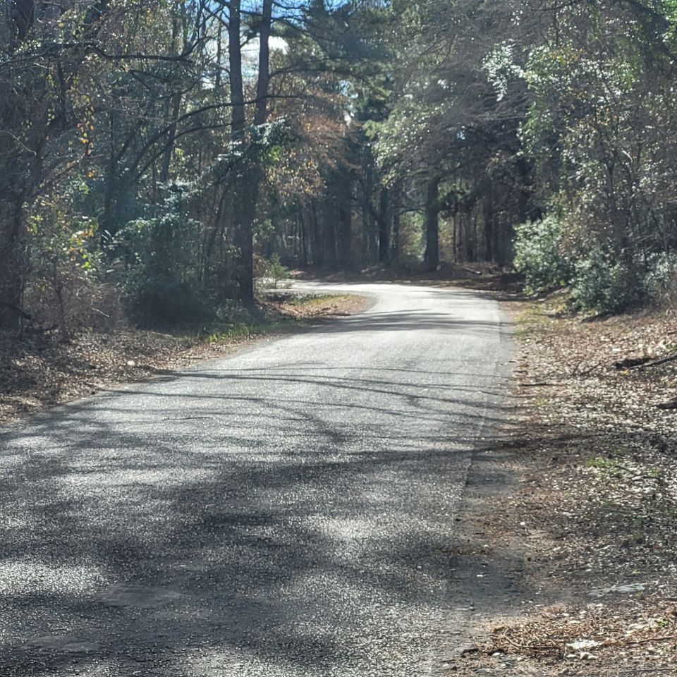 Photo 2026 01 14 15 19 39