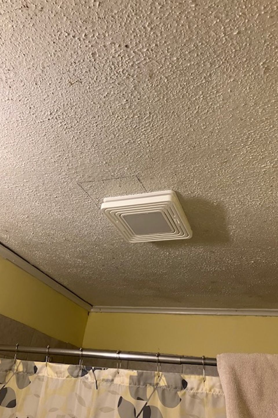 Img 3142