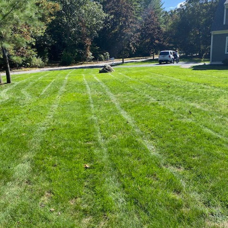 Sullivan lawn mowed