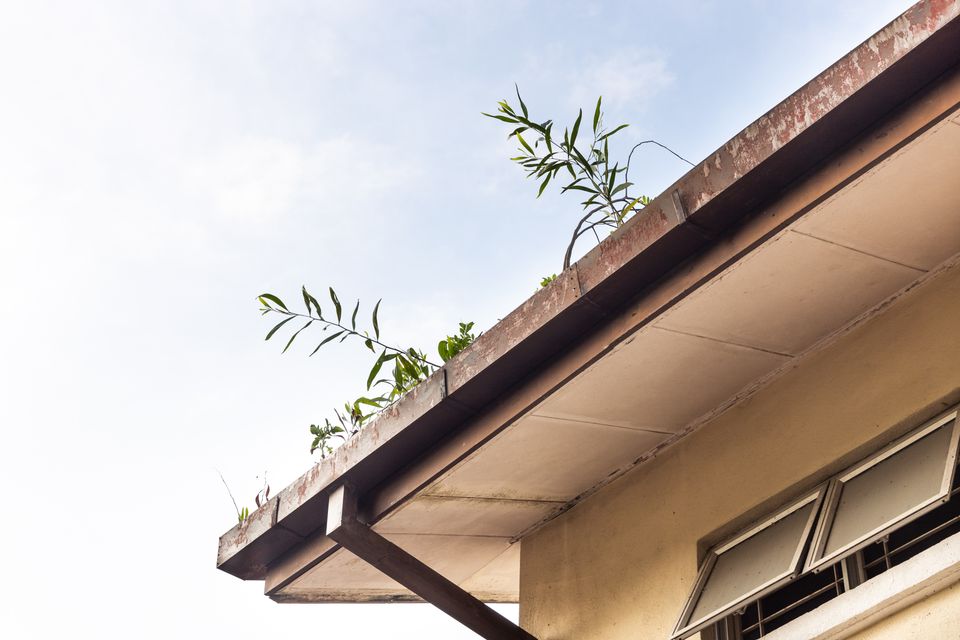 clogged roof gutter
