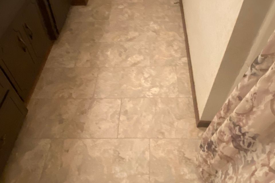 Img 0561