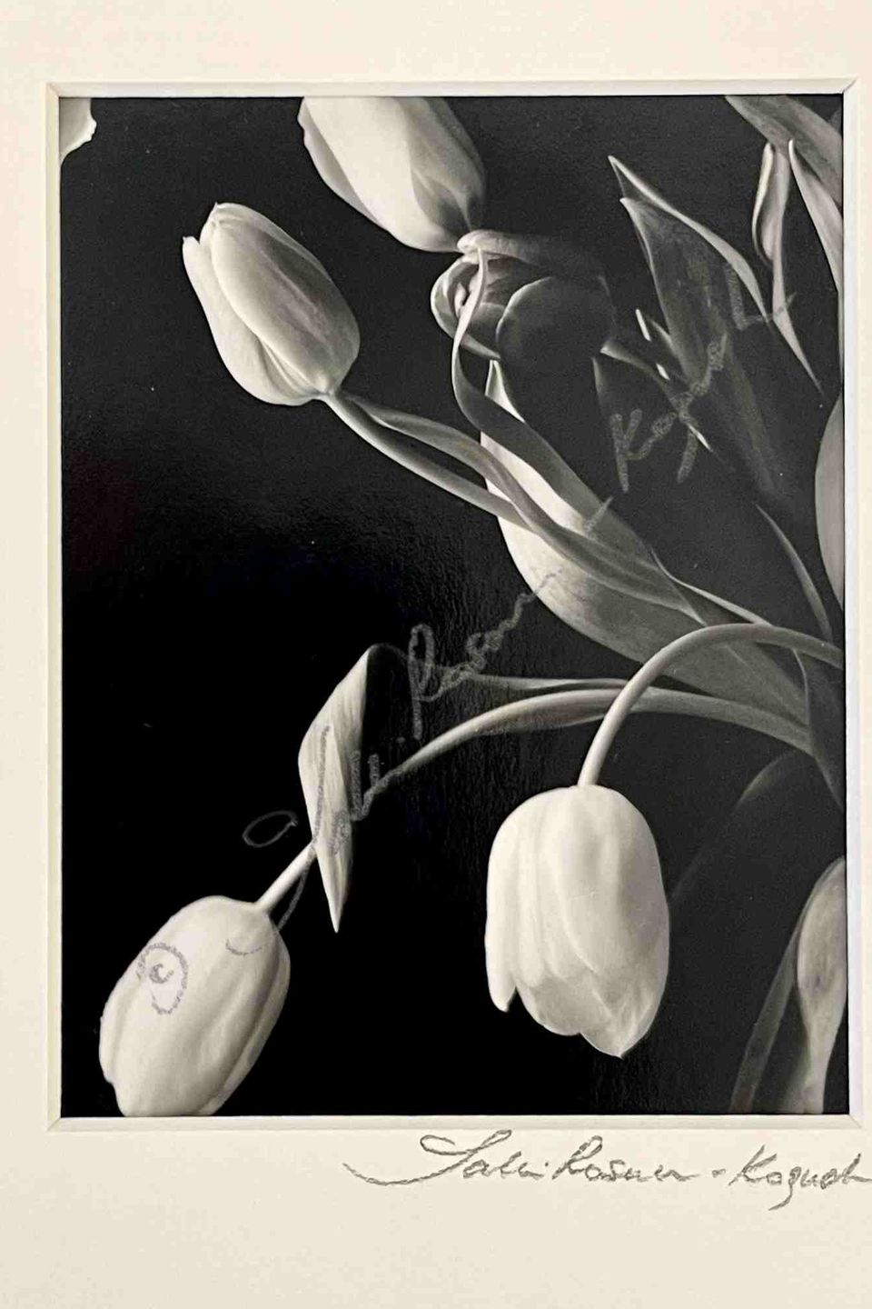 Tulips half vase 1 slash 2 platinum print