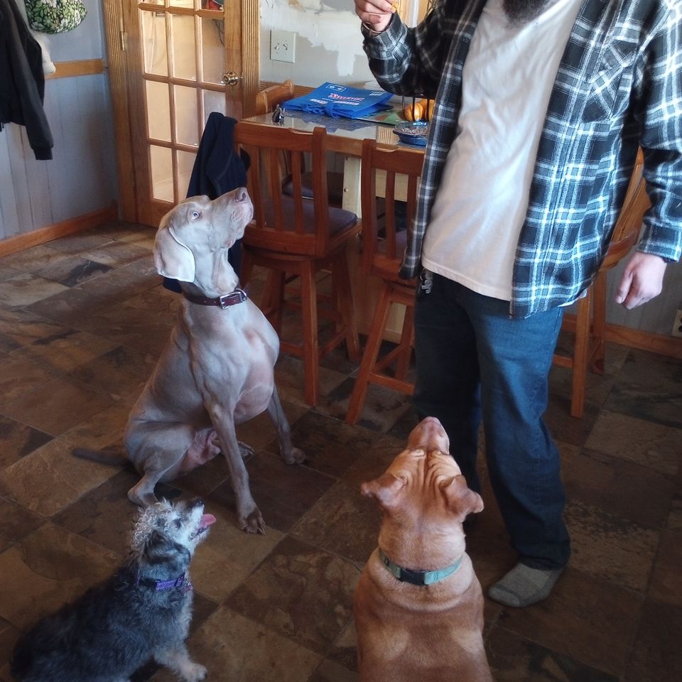 Img 20231123 122847737