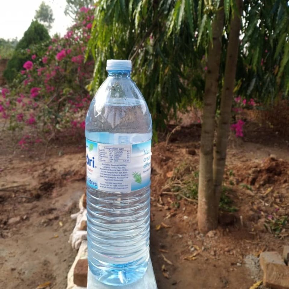 Crystal clear water from aquifer  borehole is as pure as bottled water