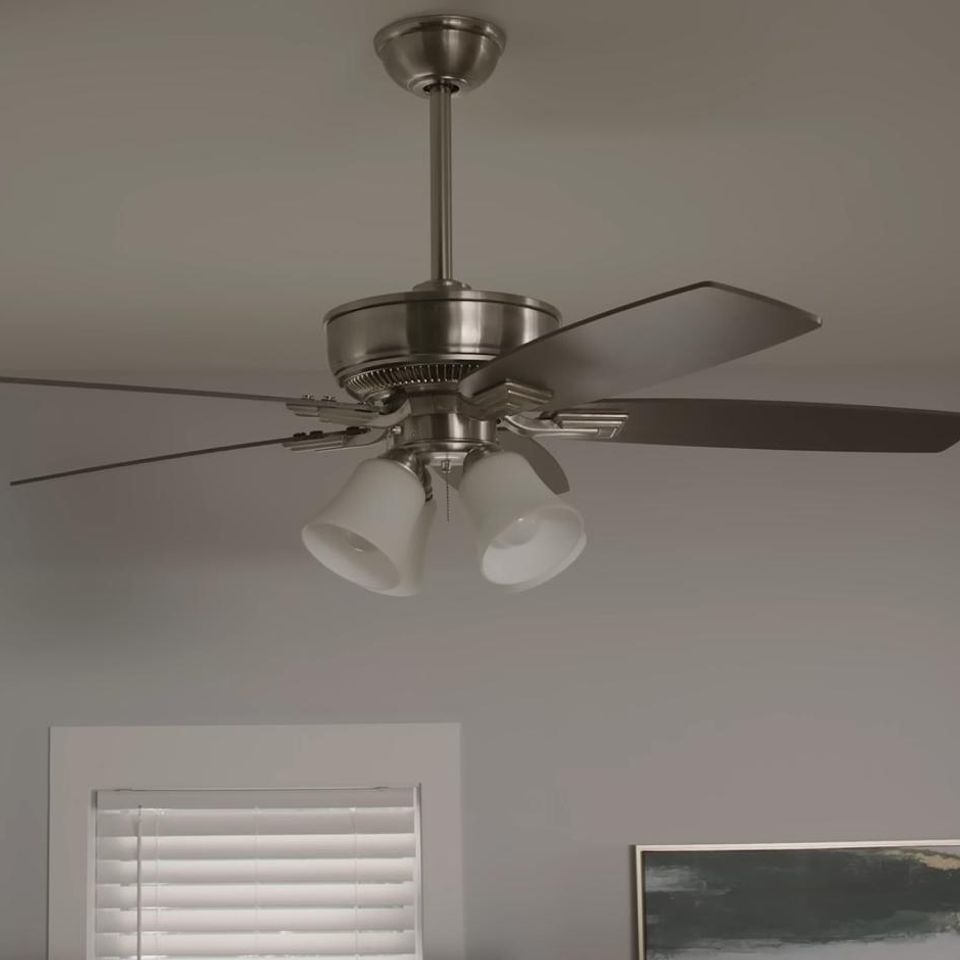 Whatsapp image 2026 01 11 at 1.38.43 pm original