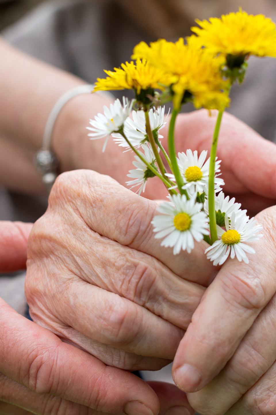 Salus home care header
